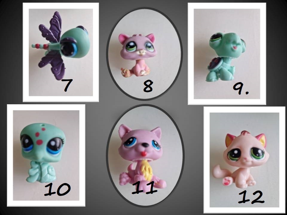 PETSHOP - 3