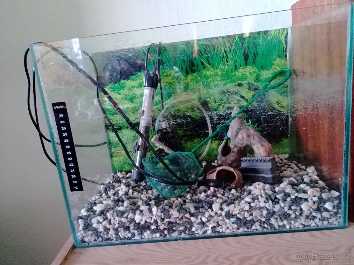Menší akvárium s vybavením - 3