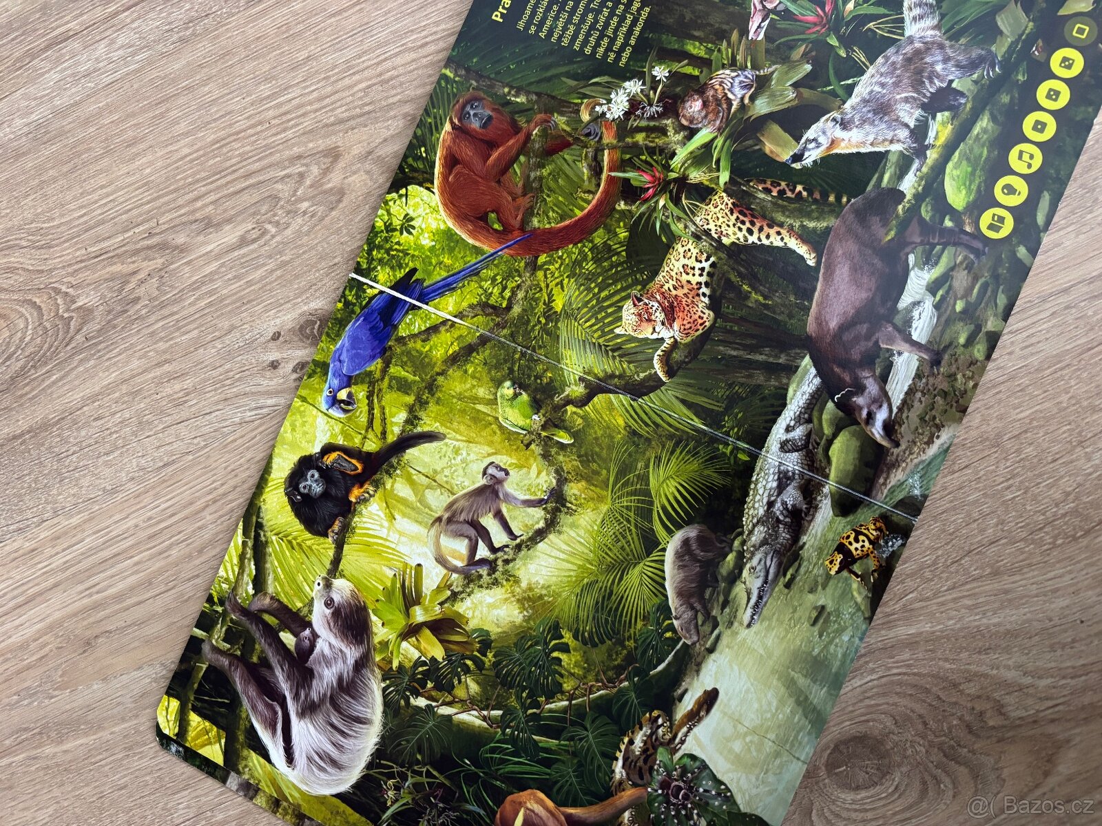 Kouzelne cteni Albi - 3