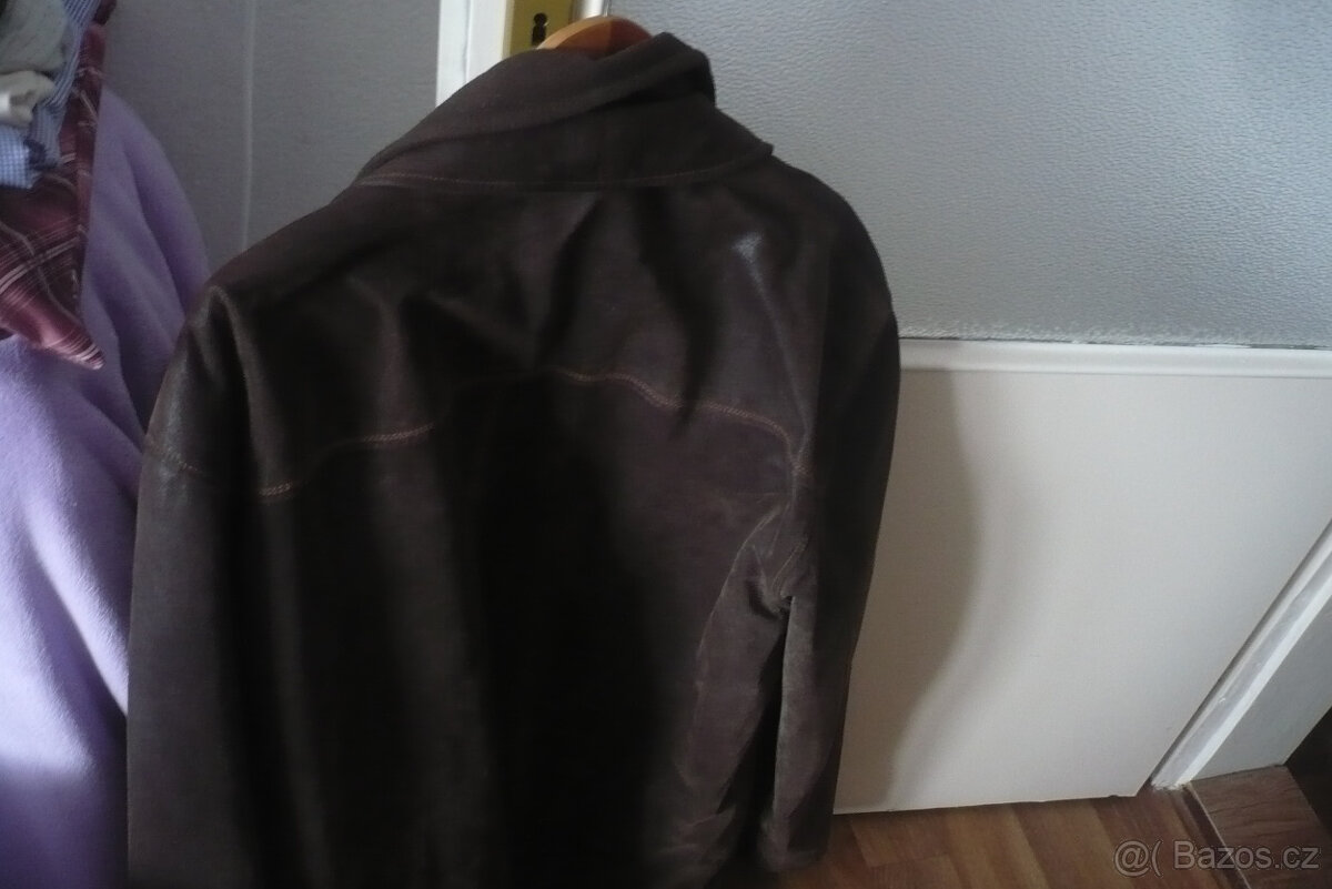 stříbrná liška a kožený kabát - 3