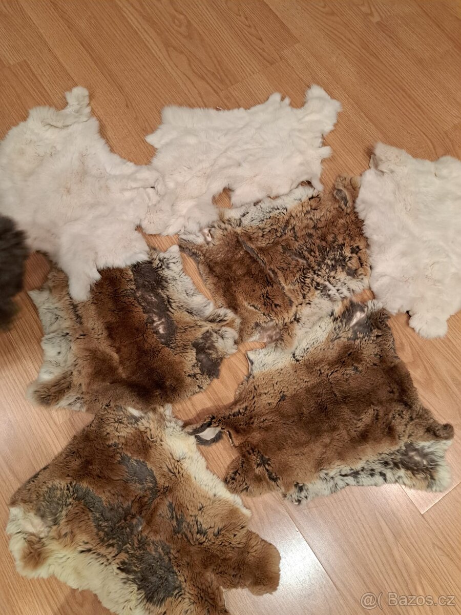 Kožešiny a kožešinové límce a čepice - 3