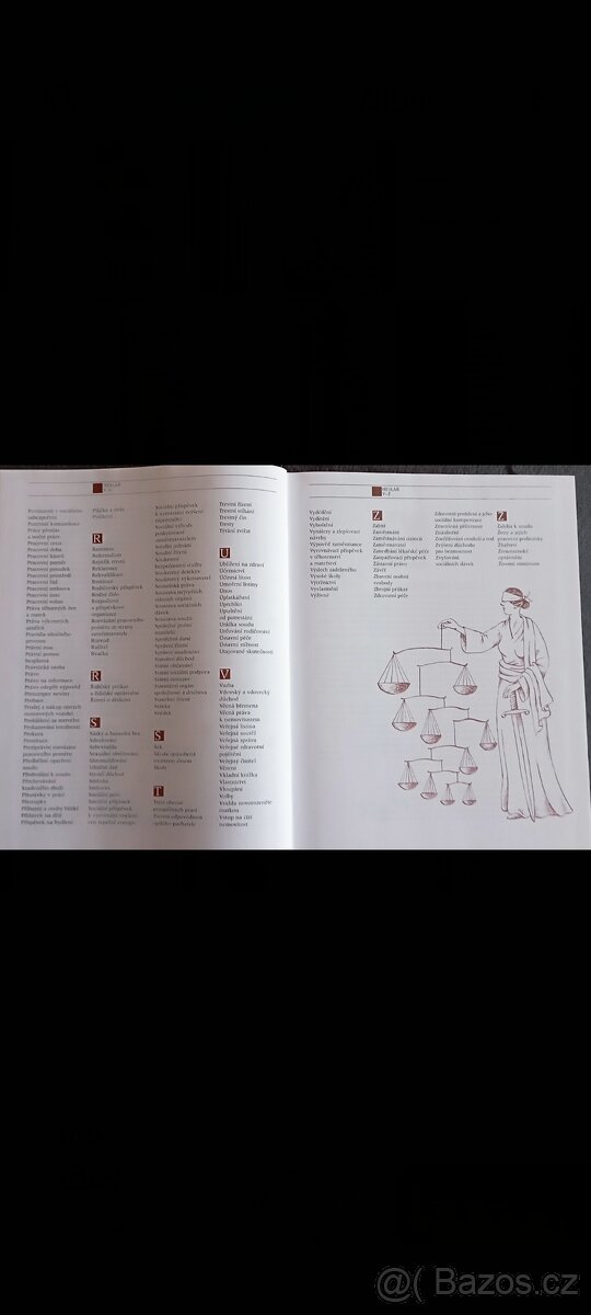 Kniha Velký domácí právník - 3