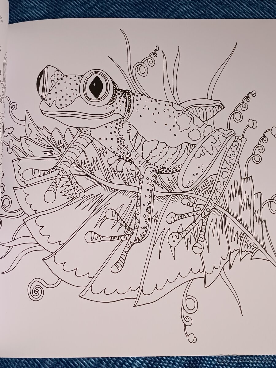 Omalovánky pro dospělé Exotický prales - 3