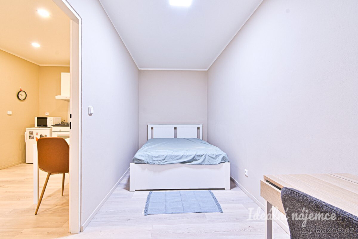 Prodej bytu 2+kk, Čápkova, 33 m2 - 3