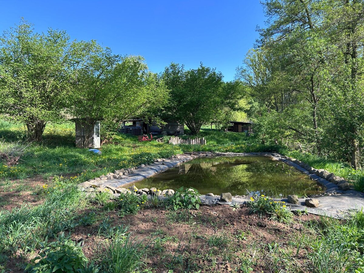 Prodám zahradu 7 763m2 - 3