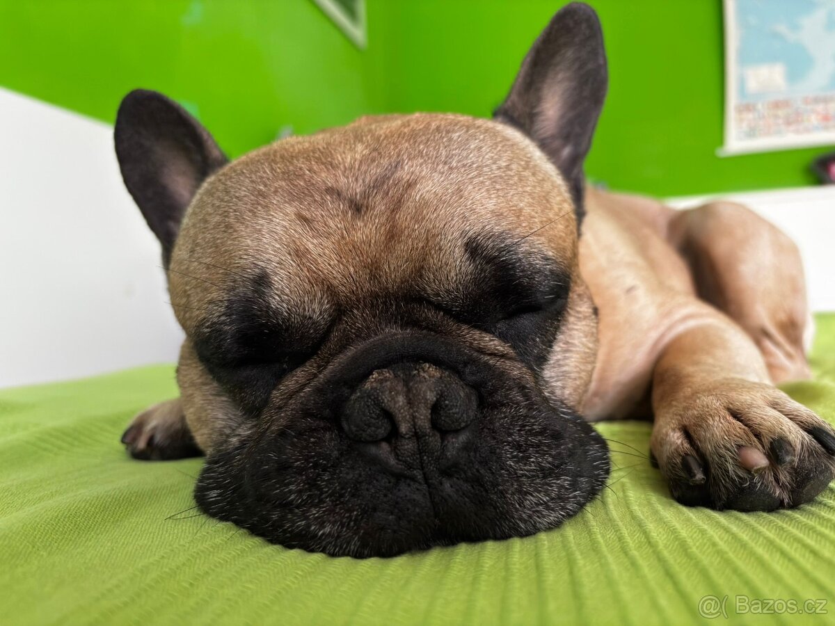 Nabízíme krytí - 3