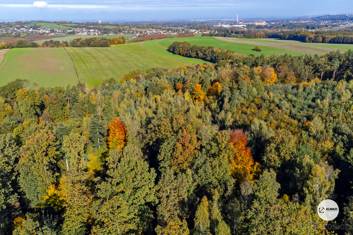 Prodej lesa 29 217m² - 3