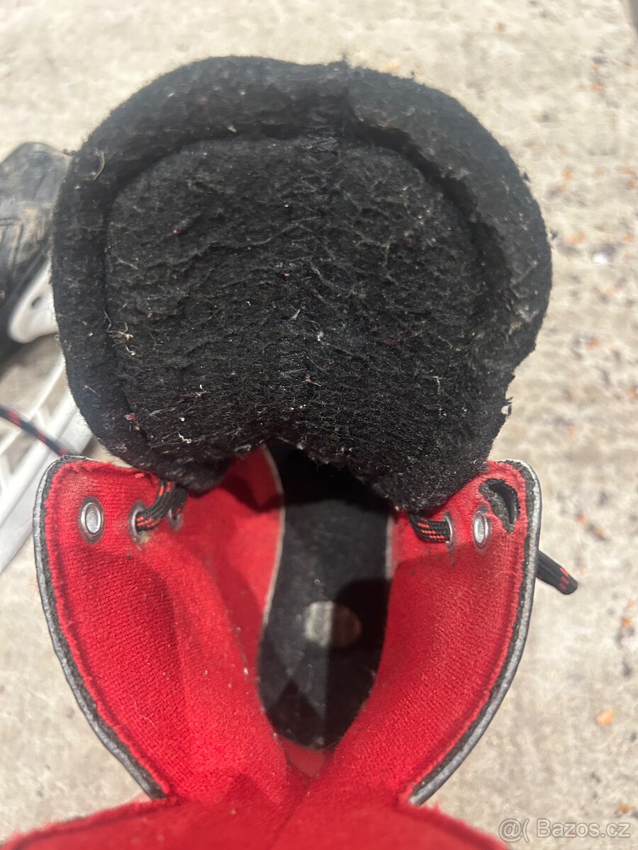 Brusle Bauer vel. 32 - 3