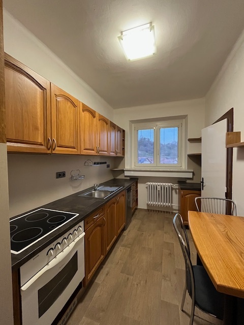 Pronájem bytu 3+1 Vizovice - 3