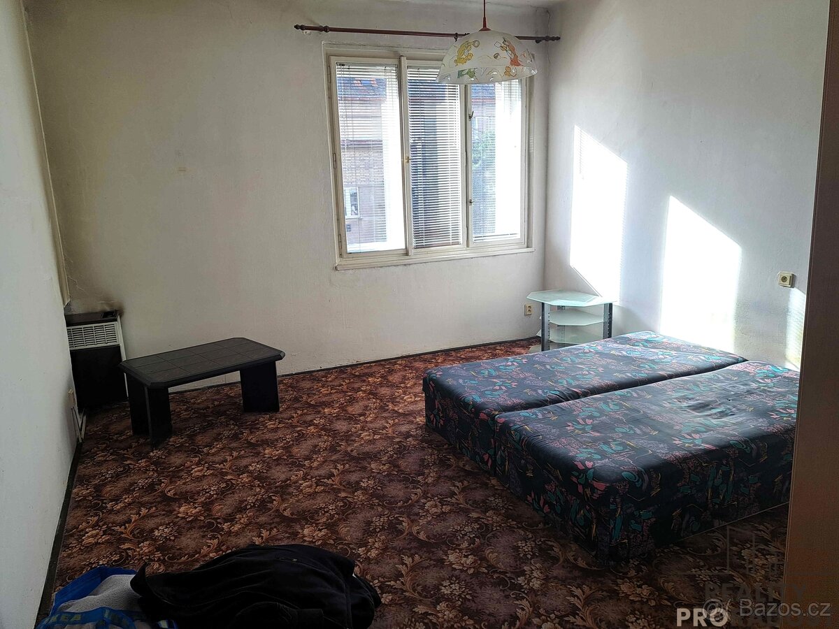 Pronájem bytu 1+1 48 m² U staré pošty, Praha - Braník - 3