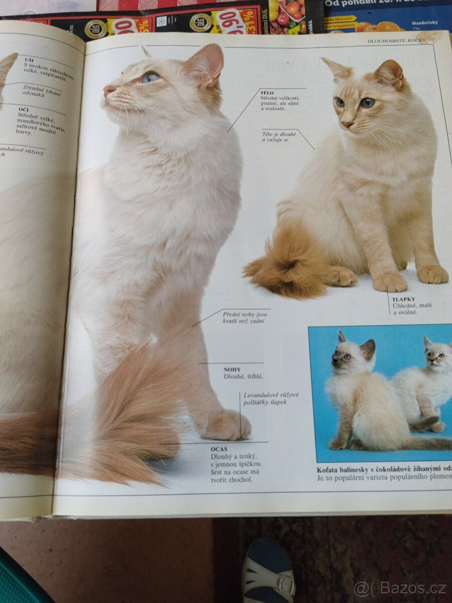 Velká kniha o kočkách - 3