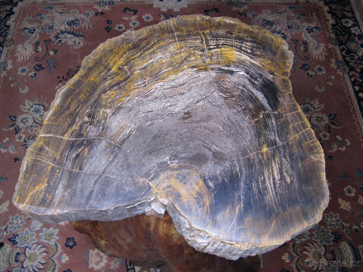 Stolek ze zkamenělého dřeva - 3