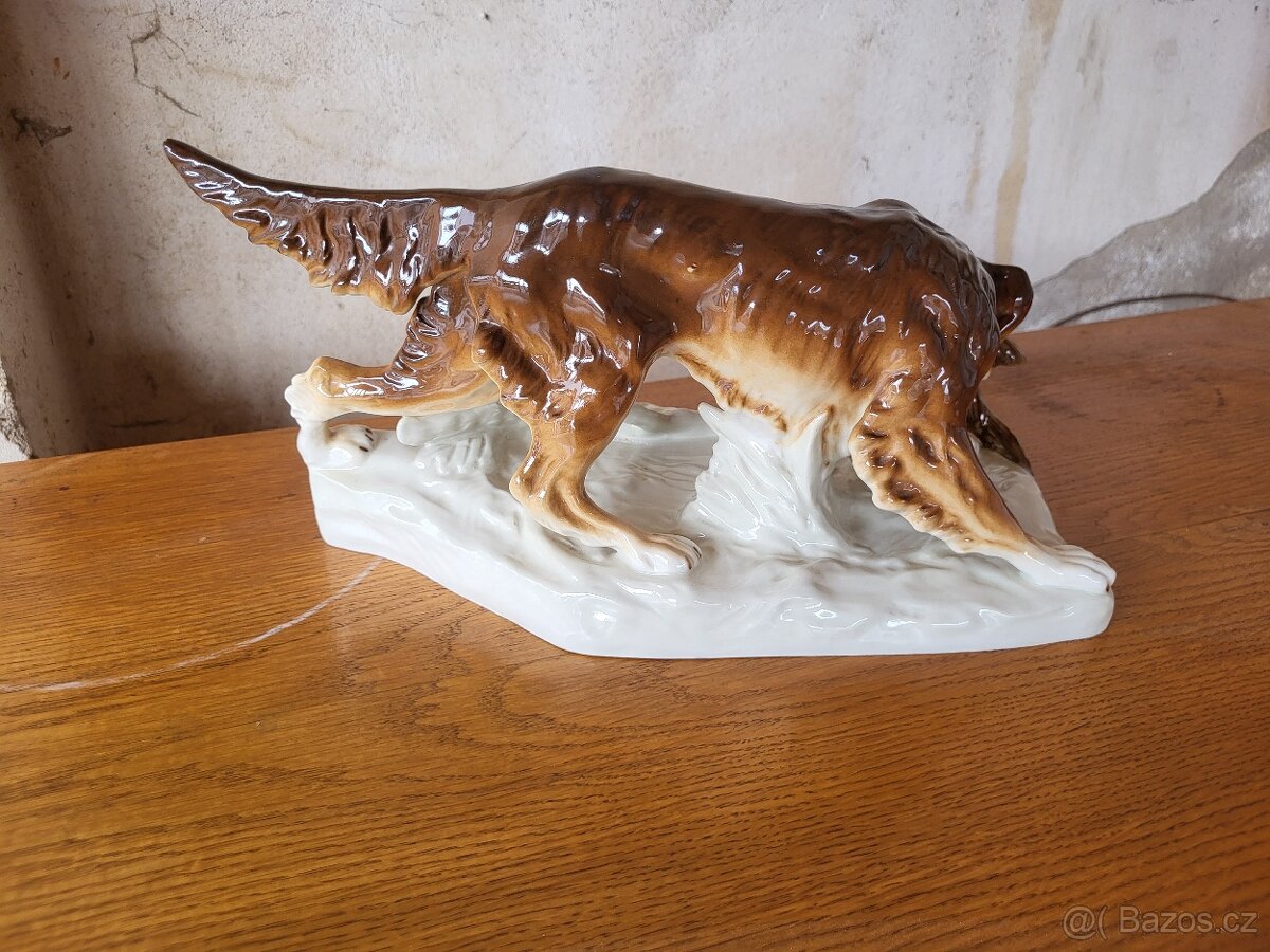 Lovecký pes Royal - Dux - 3