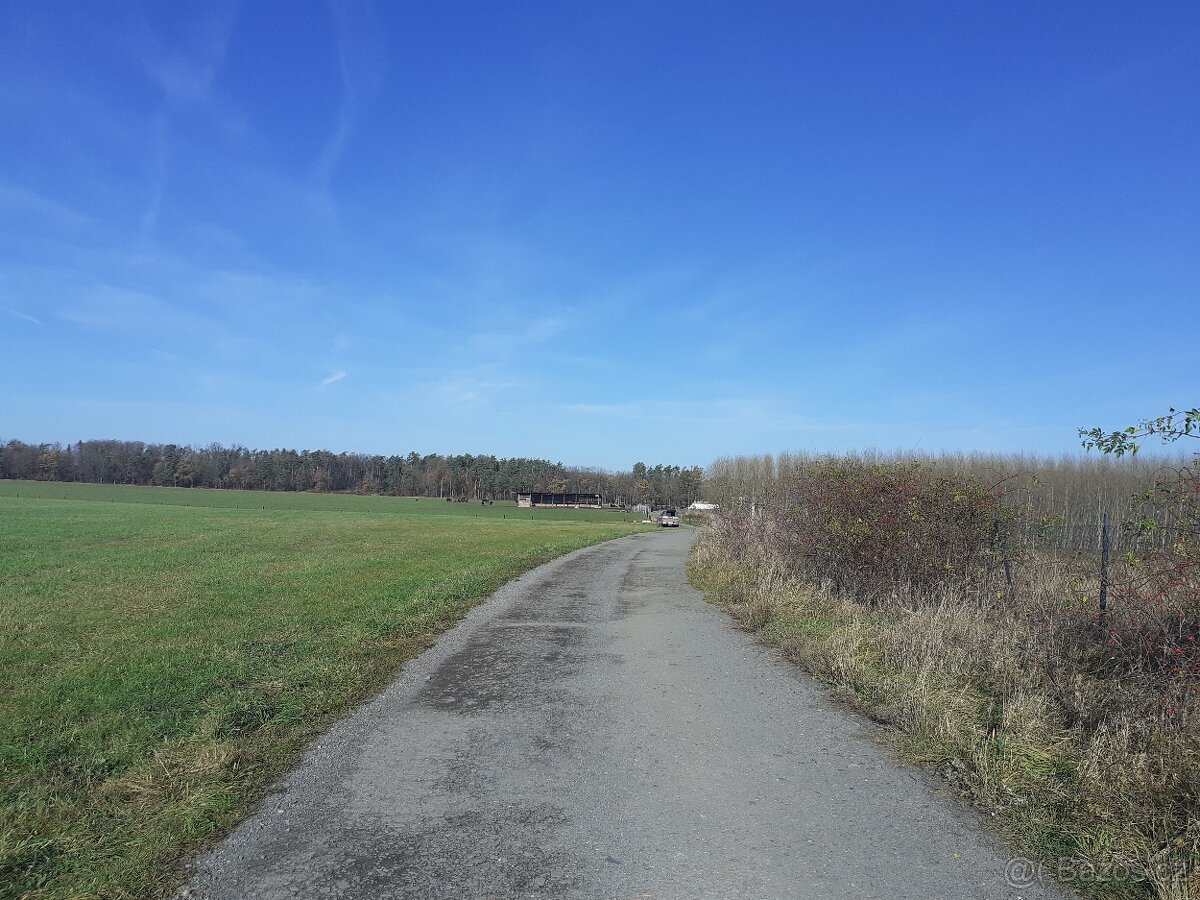 St. pozemek přes 8.000 m2 - 3