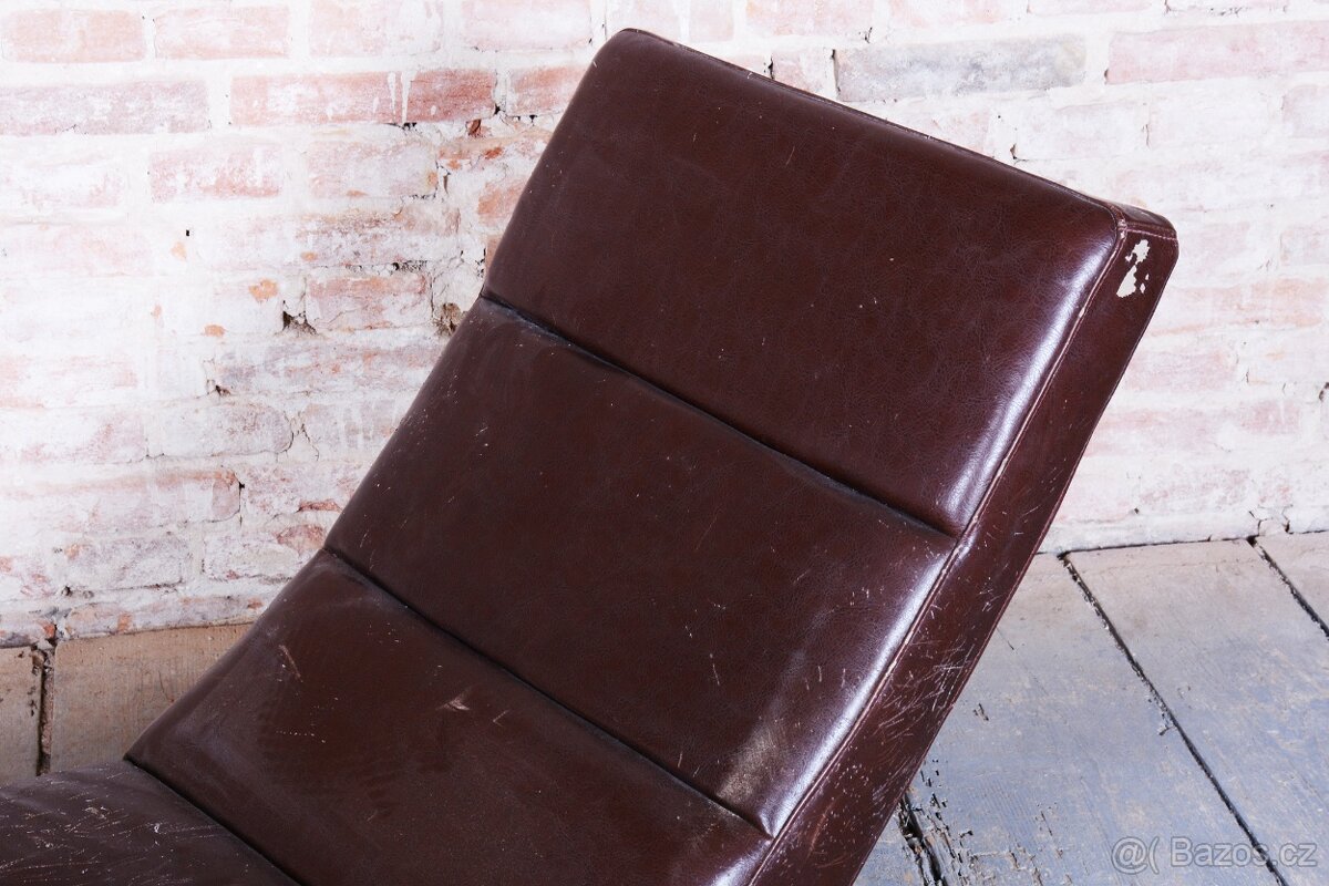 Elegantní hnědá lenoška - 3