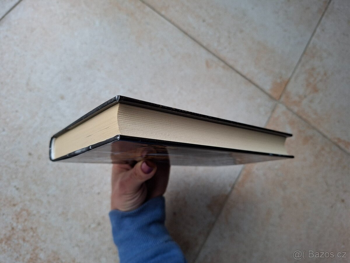 Kniha Nemilosrdný král Meghan March - 3