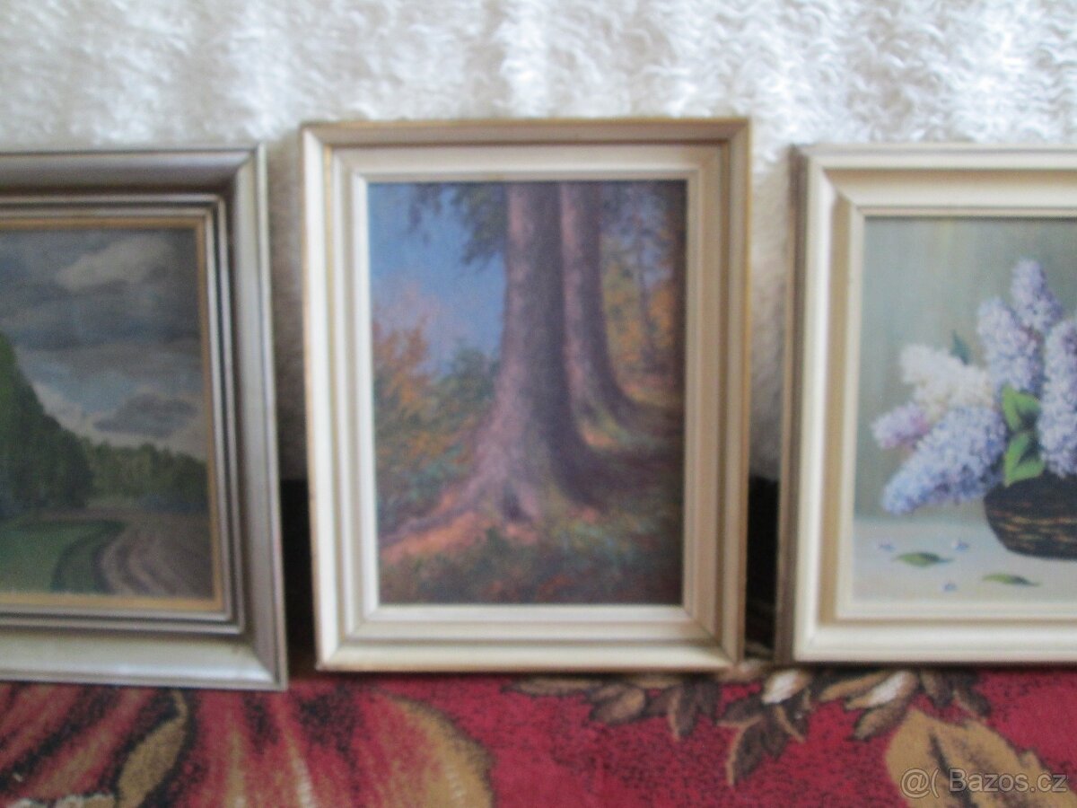 Obrazy - 3