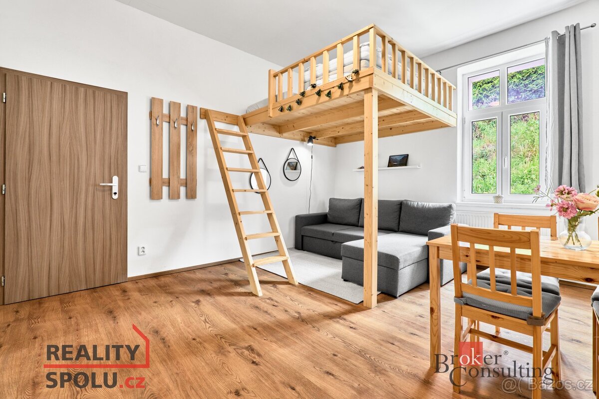 Prodej, byty/1+1, 43 m2, třída Dukelských hrdinů 334, 36251 - 3