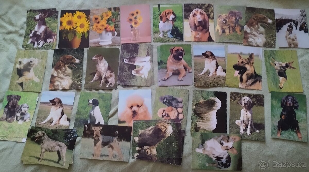 Pohlednice psů, pohledy psů,koček,pes, kočka. - 3