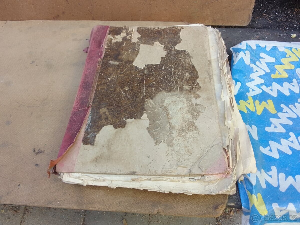 Časopis Světozor ročník 1895 - 3