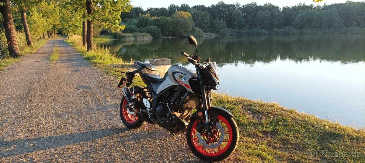 Yamaha MT-03 - 3