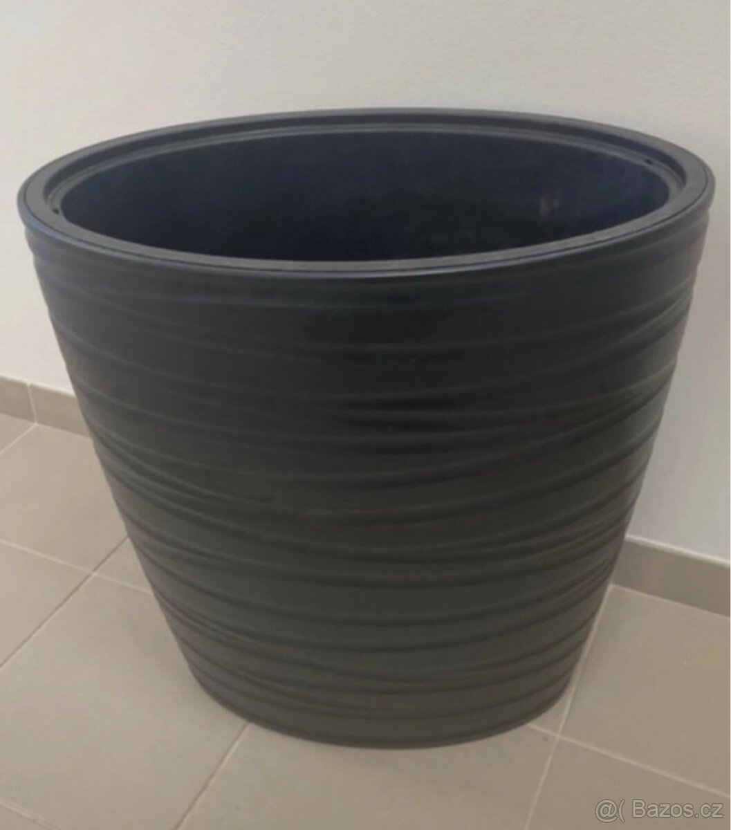 Xxl benjamin vcetne kvetinace - 3