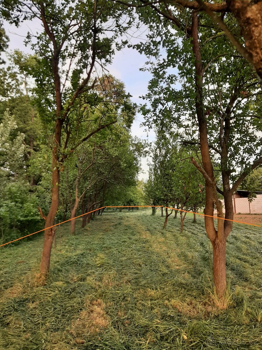 Prodej zahrady - 3