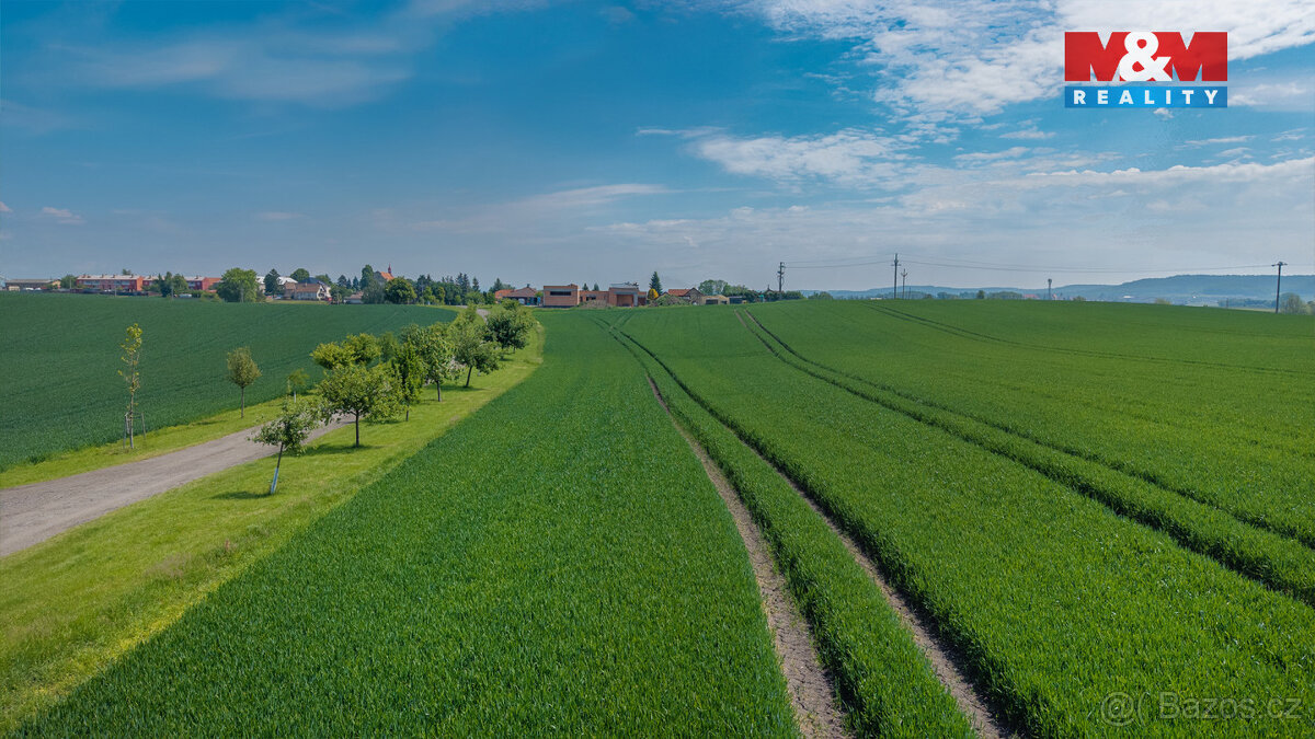 Prodej pozemku, 4280 m², Plazy - 3