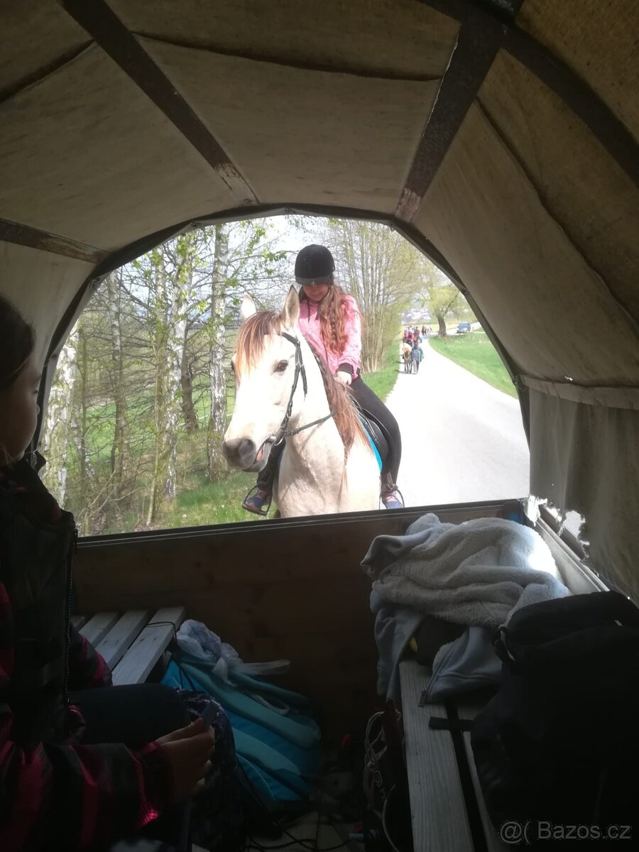 Vůz za koně, brycka, cikansky vůz. - 3