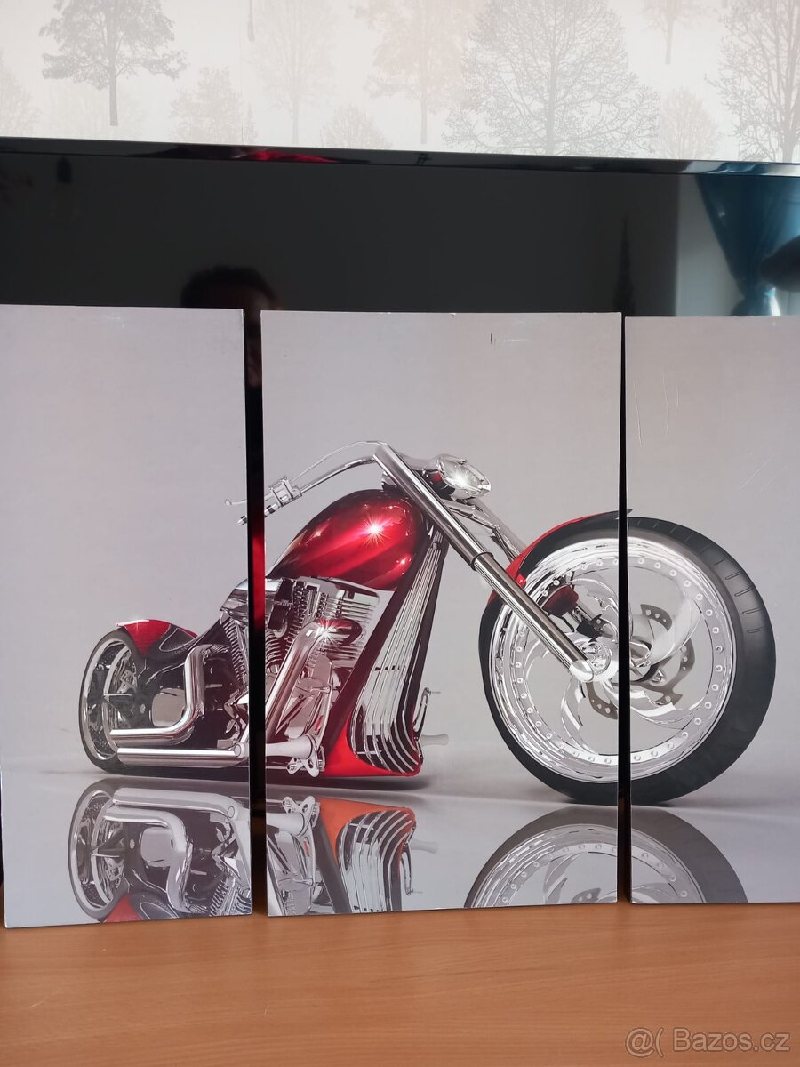 Obraz s motorkou - 3