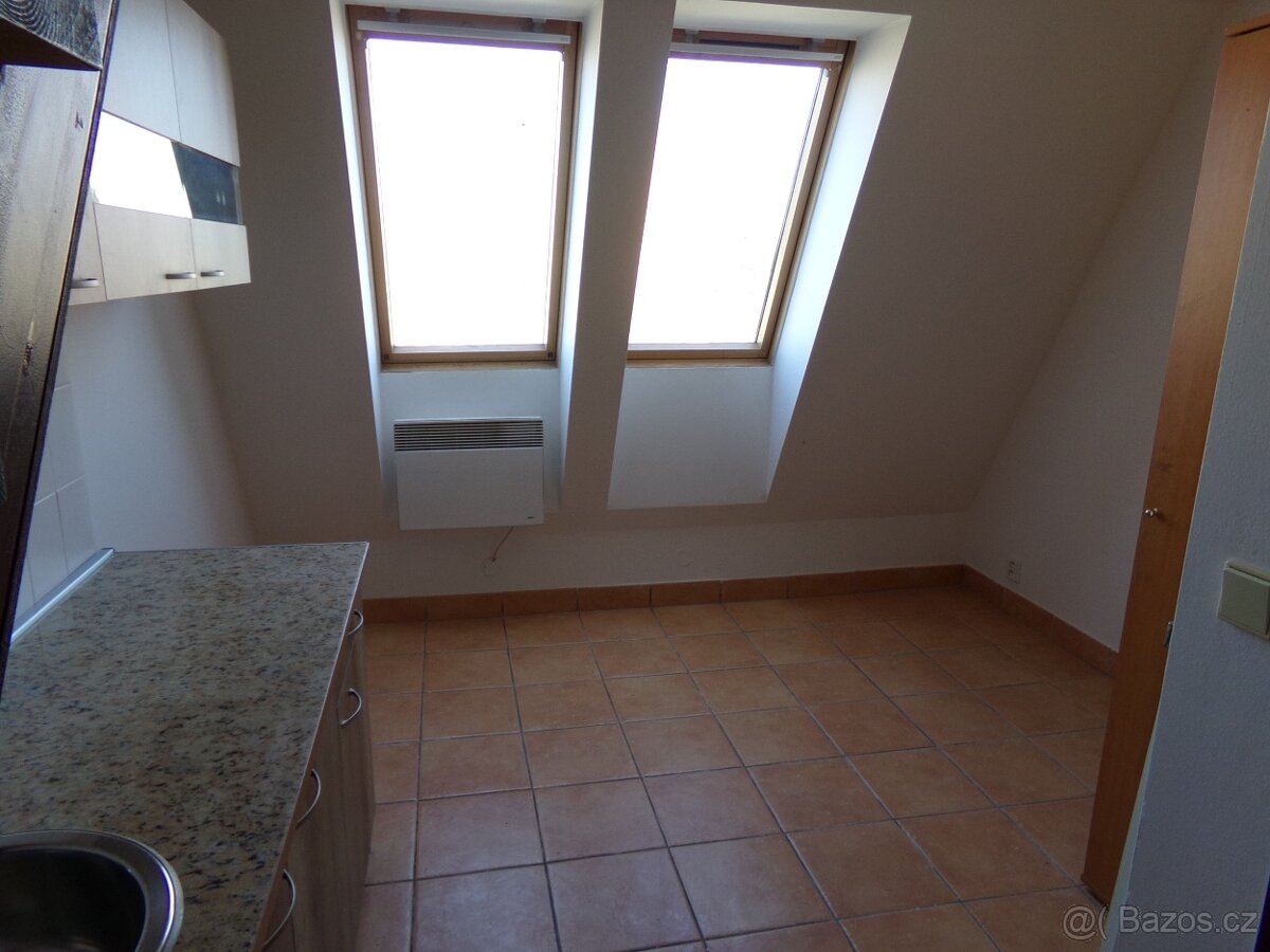Pronájem bytu 1+1, Podnásepní, 50m2 - 3