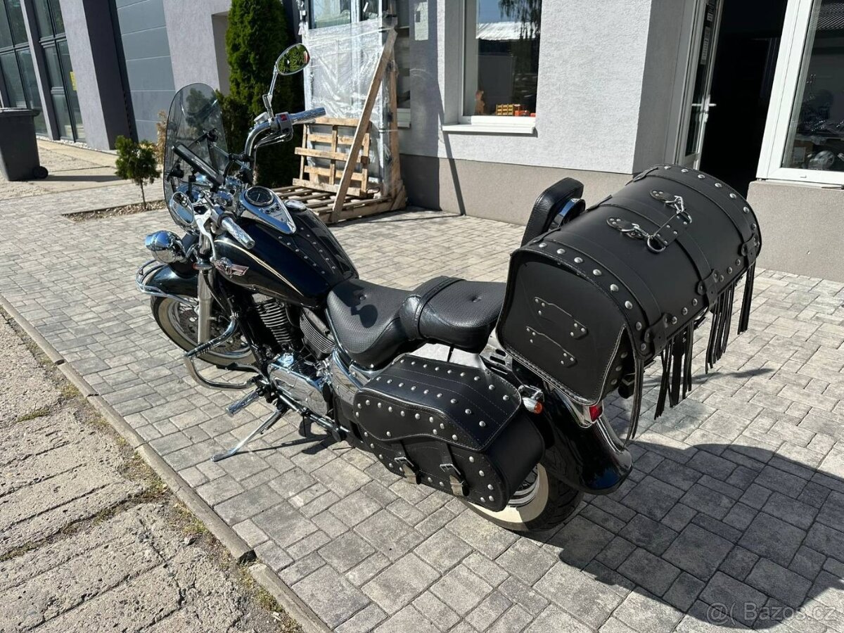 Kawasaki VN800 Classic - 3