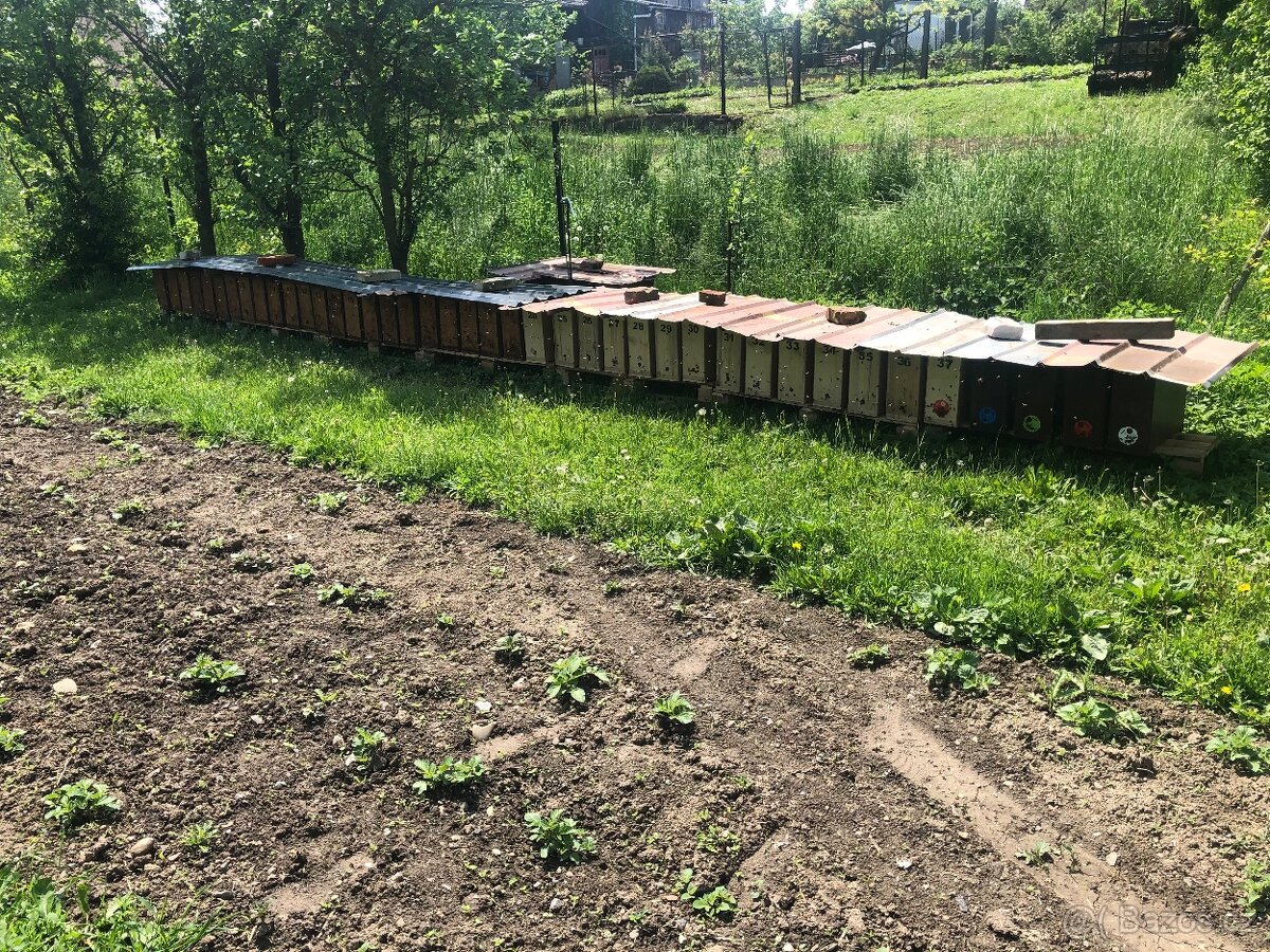 oddělky a matky kraňka - 3