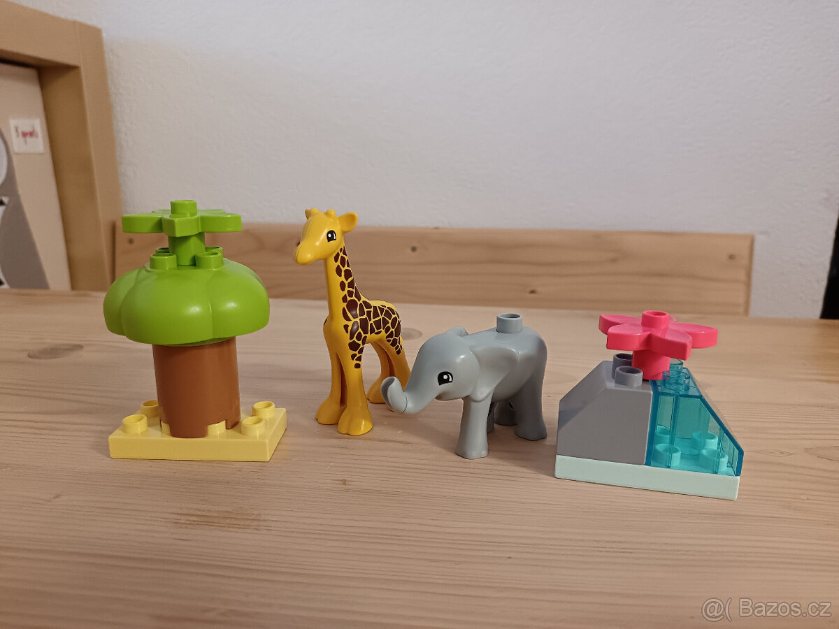 LEGO DUPLO – více druhů - 3