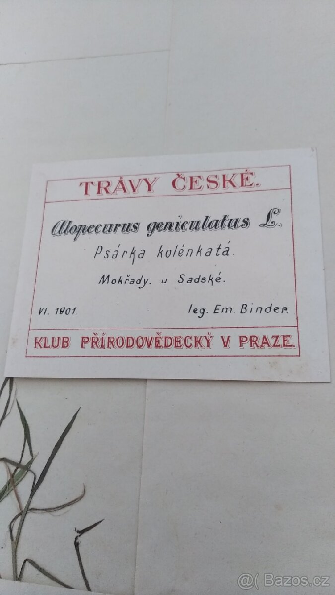 Herbář travin - 3