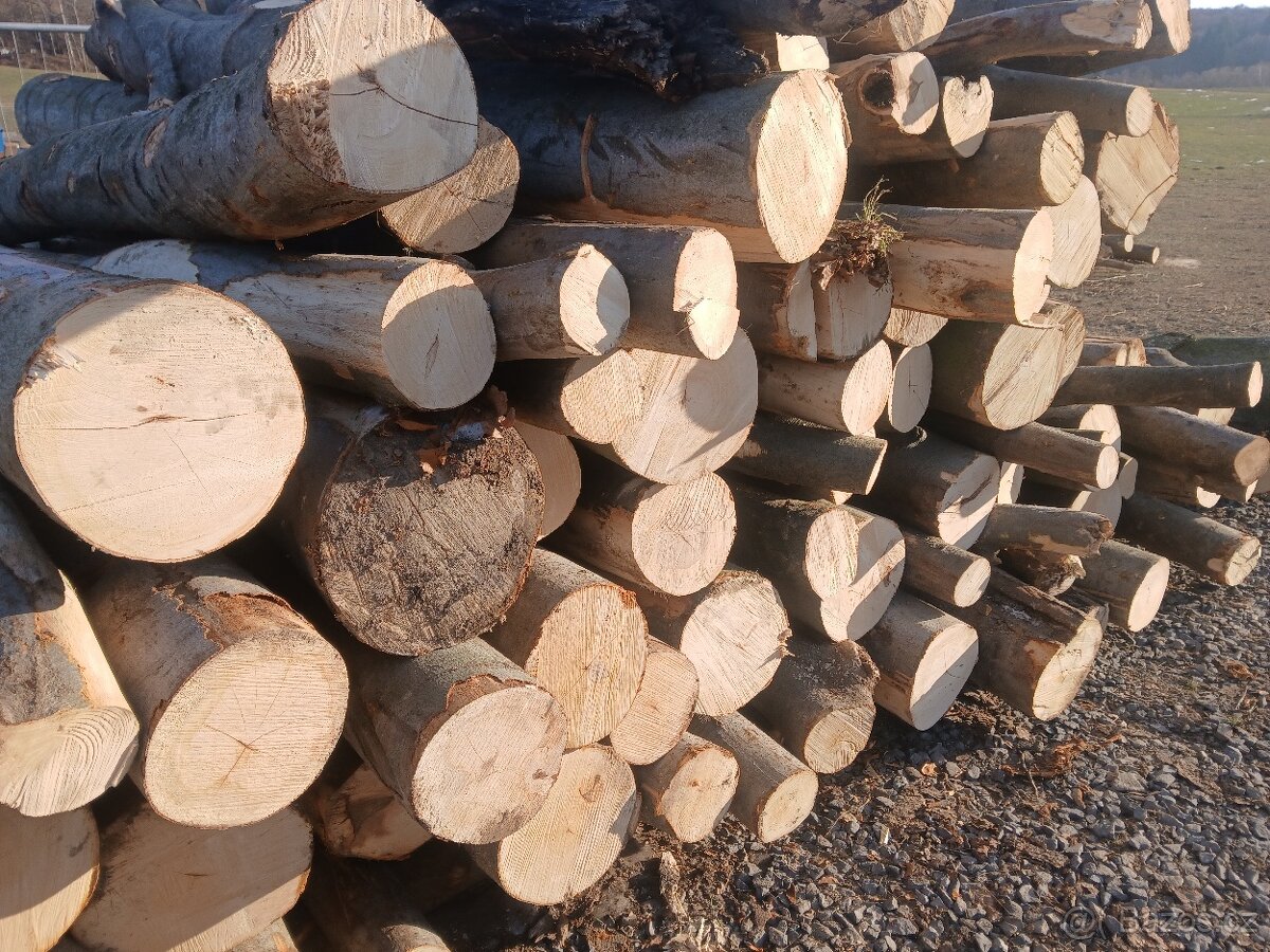 Palivové dřevo - 3