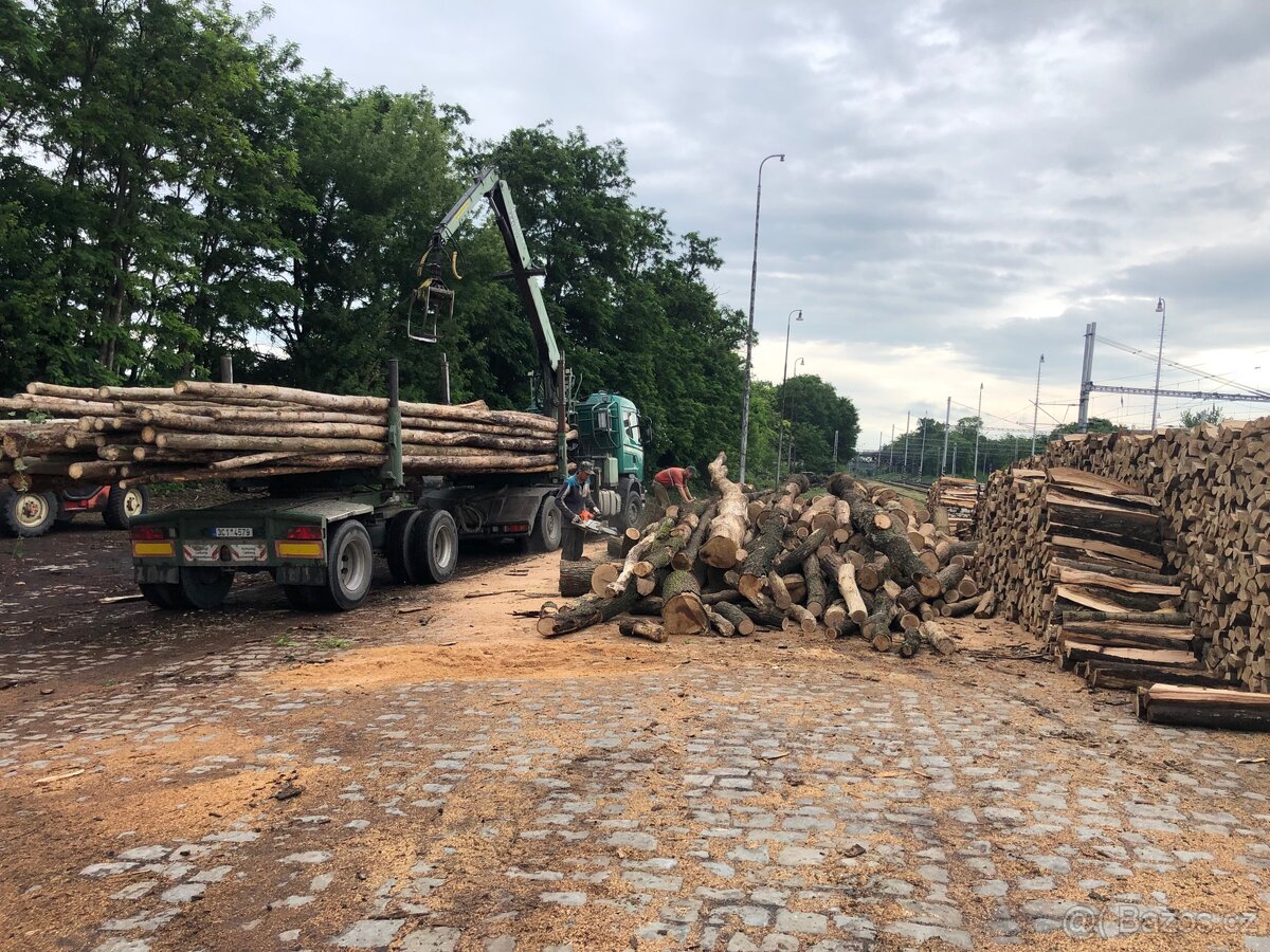 Palivové dřevo Brno od 1100 Kč/1PRMS - 3