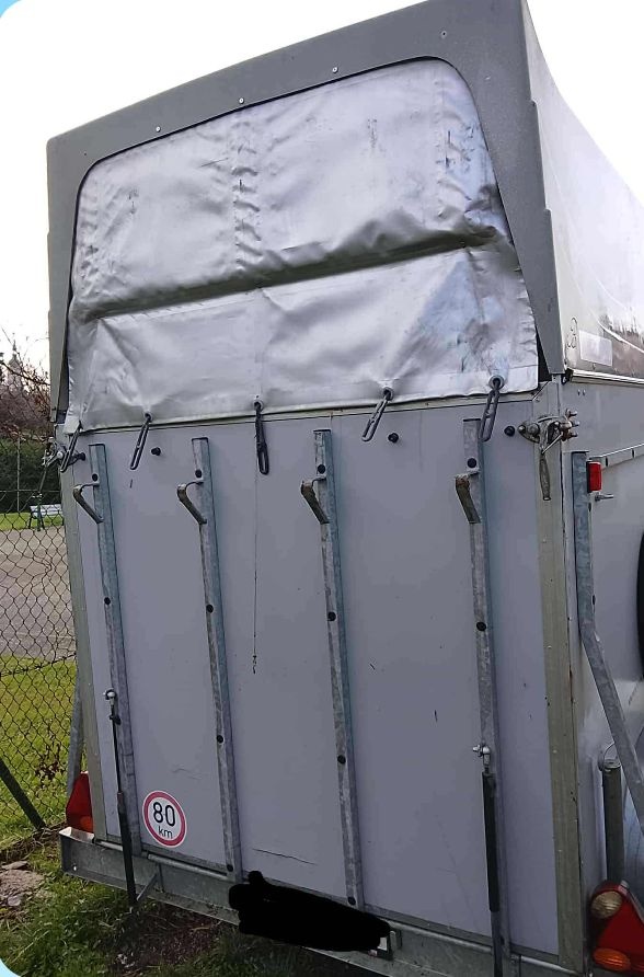 Přepravník na koně Bockmann - 3