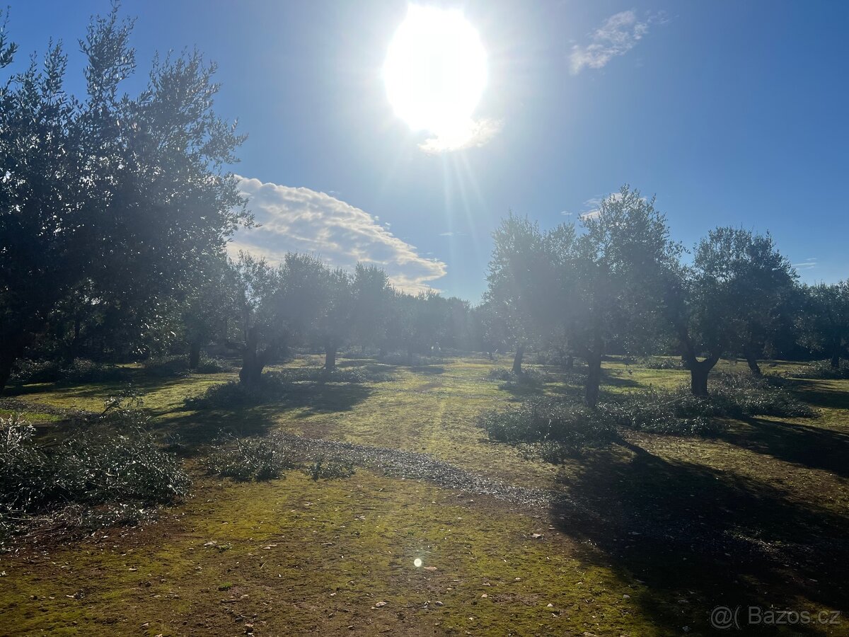 Stavebni pozemek 12.000m2 u moře🇮🇹 - 3