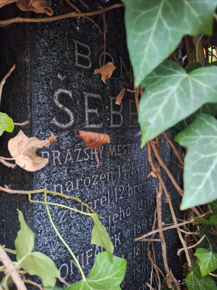 Prodej hrobky – Olšanské hřbitovy, Praha - 3