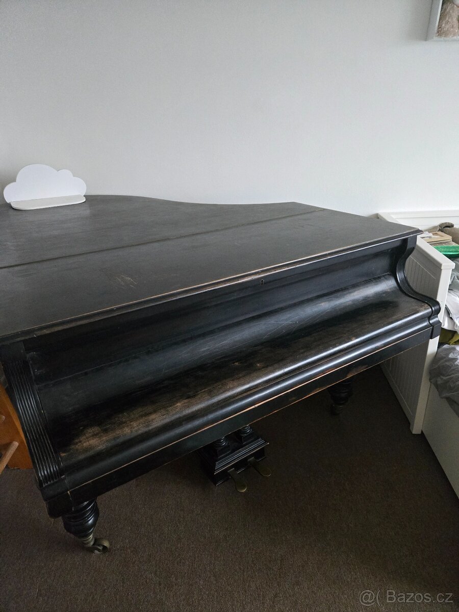 Prodám křídlo, cena dohodou - 3