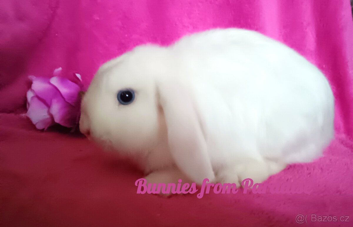 MODROOKÝ SNĚHOVĚ BÍLÝ SATÉŇÁČEK ❤️❤️❤️ - 3