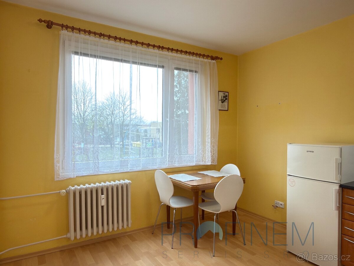 Pronájem světlého bytu 1+1 37 m² Ústí nad Orlicí - 3