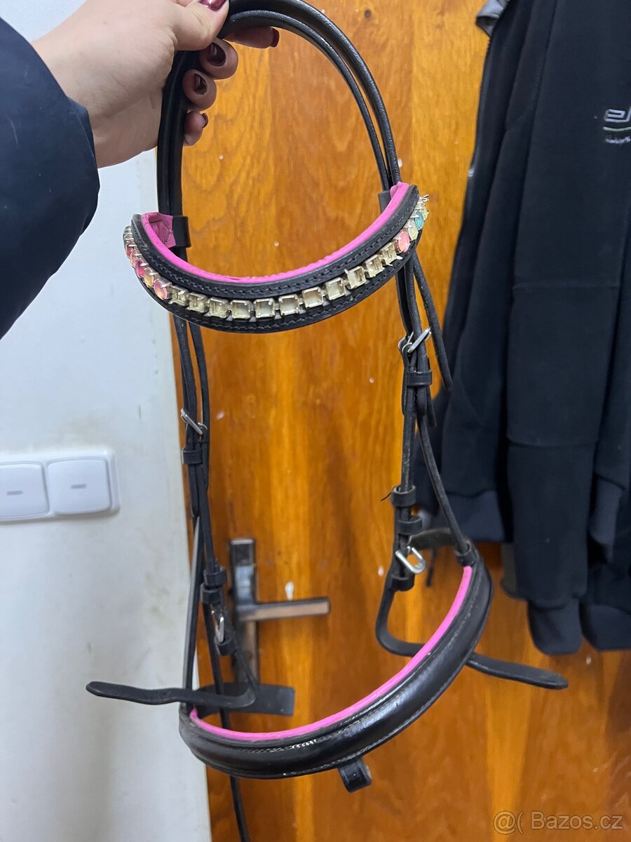 Uzdecka,otěže a udidlo - 3