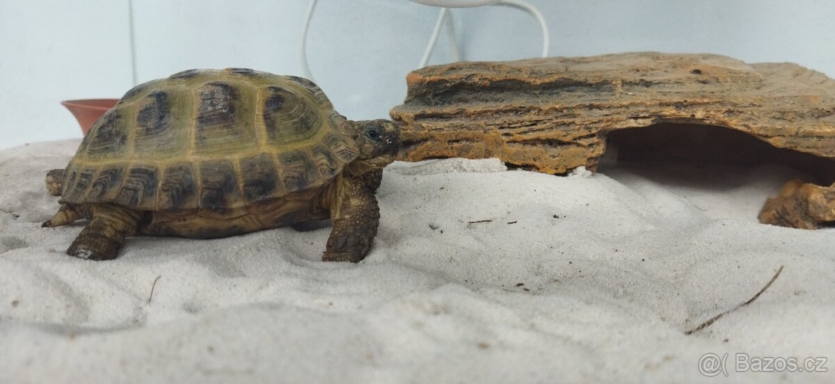 Prodám terárium - 3