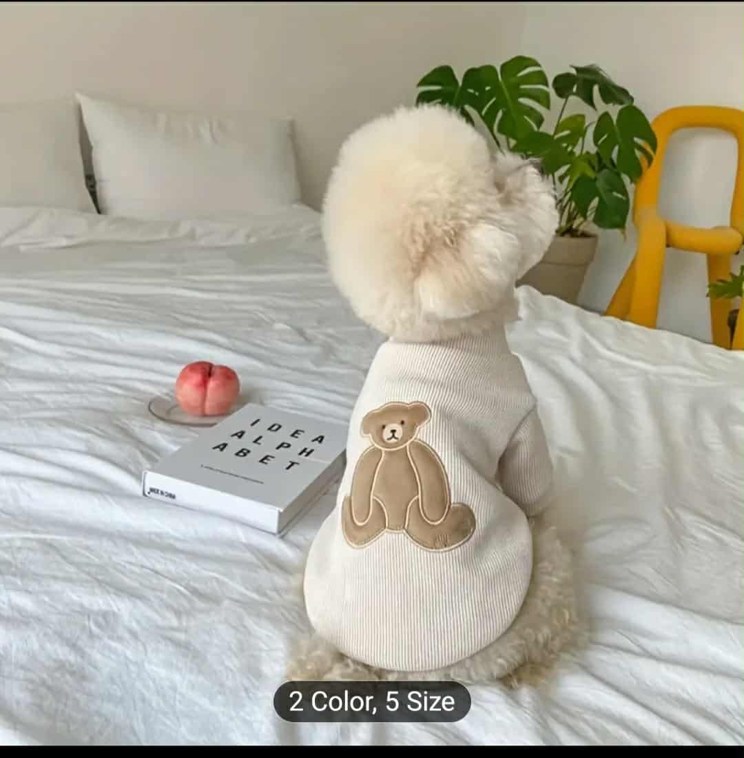 Kvalitní oblečení pro koček. - 3