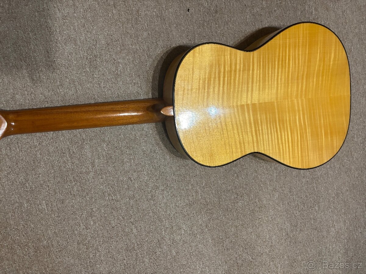 Akustická kytara Schneider - 3