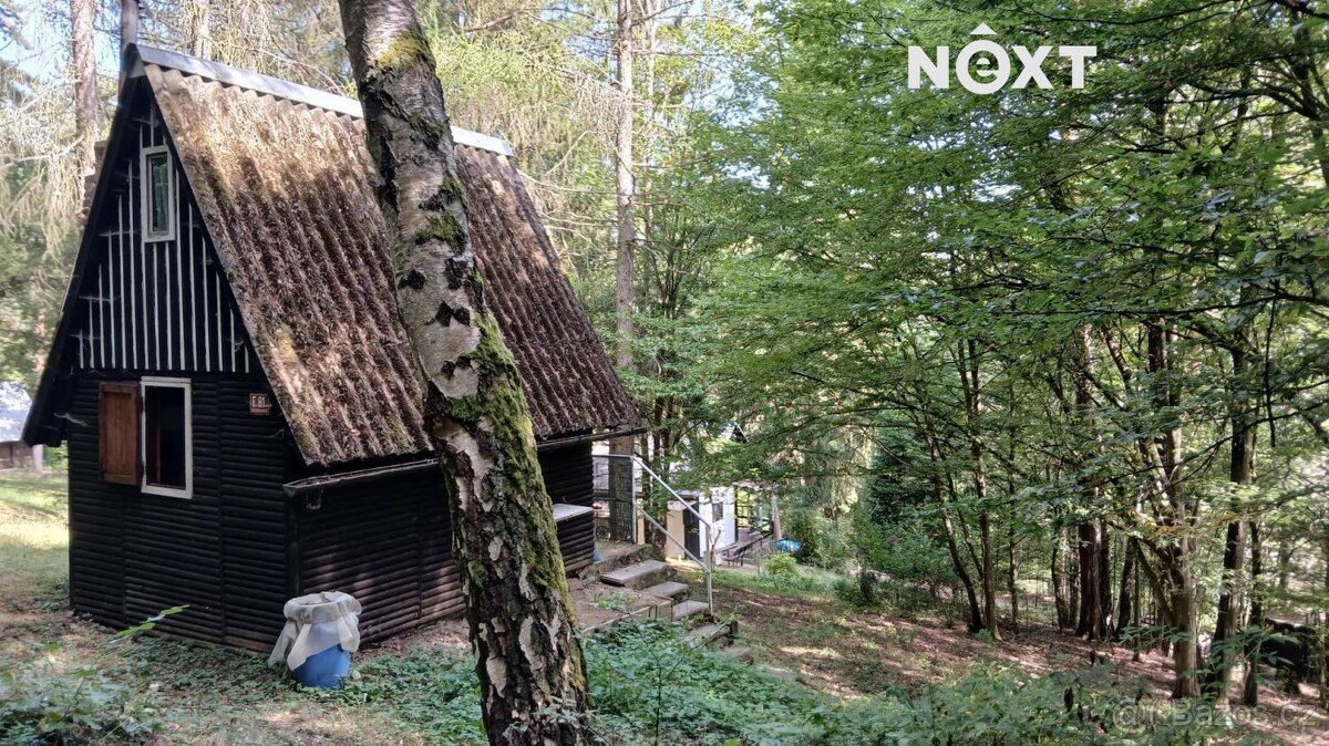 Prodej pozemek Lesy, 1228㎡ - 3