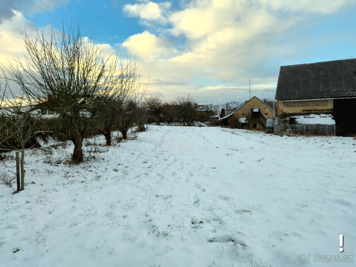 Zemědělská usedlost 3784 m² - 3