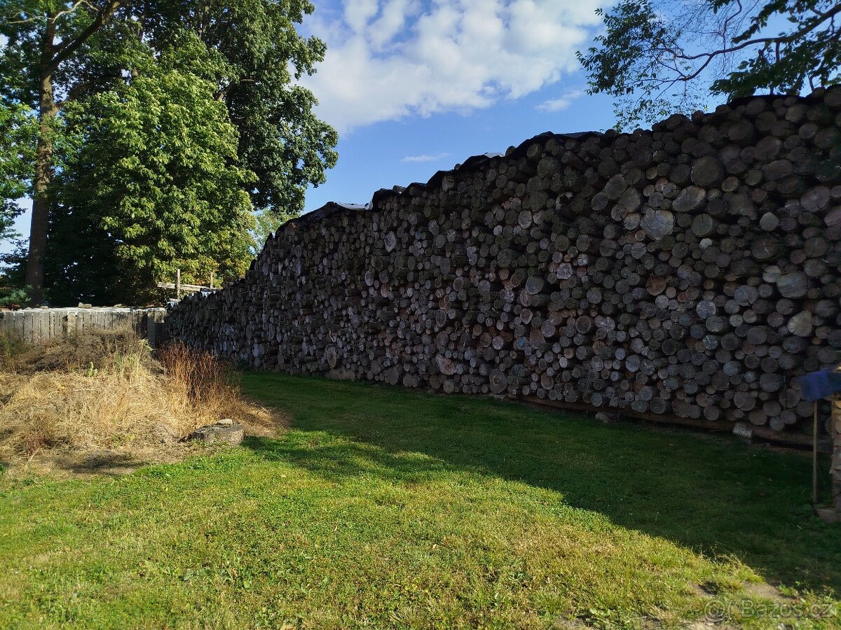 Palivové dřevo - 3